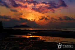 끝은 또 다른 시작 해남發 희망버스!