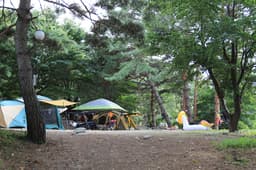 돌배야영장(제2야영장)
