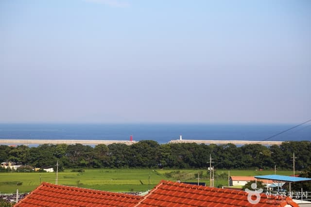 Image 0