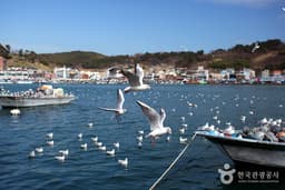 부산의 자연생태 체험 코스