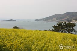 남파랑길(여수 구간)