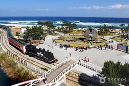 새해, 첫 일출은 정동진에서