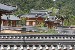 신라불교초전지