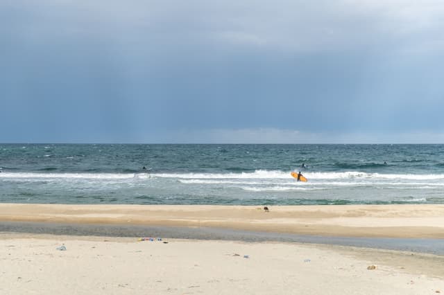 Image 17