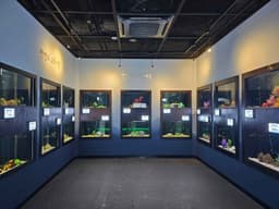 경기도해양수산자원연구소민물고기생태학습관