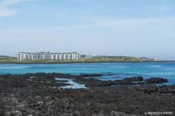 표선세화해안도로