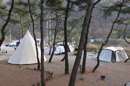 황금박쥐캠핑장