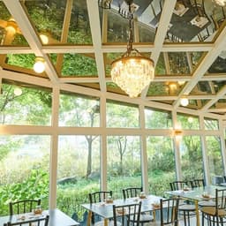 가오리와 방패연