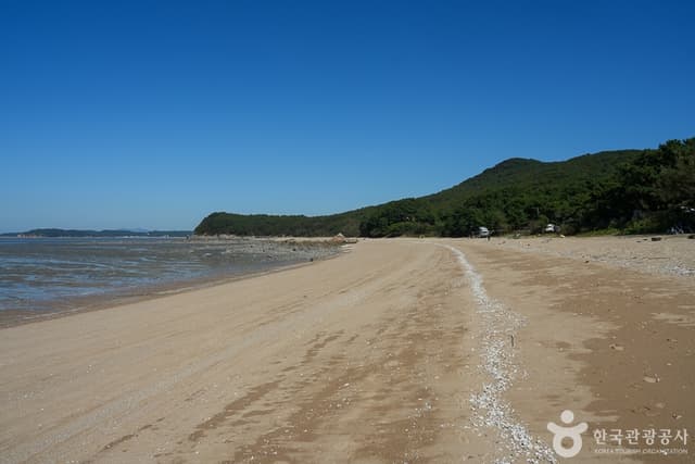 Image 10