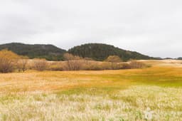 태안 신두리 해안사구