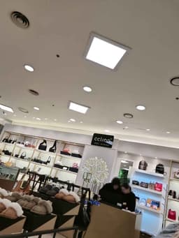 끌린느 뉴코아 평촌