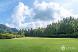 금강로하스대청공원