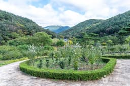 보령 무궁화수목원