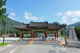 계곡을 오르며 물이 되고 숲을 거닐며 한그루 나무가 되다