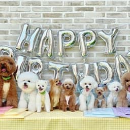 코코앤몽 펫카페