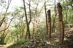 [지리산둘레길] 하동호~삼화실