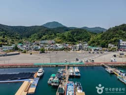 트라이애슬론광장