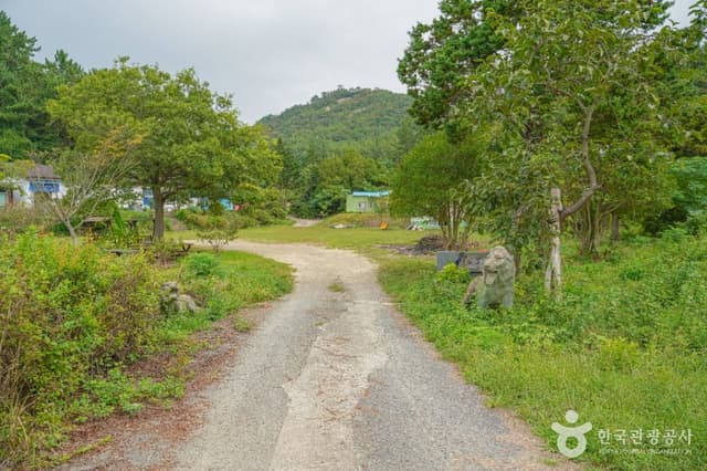 Image 6
