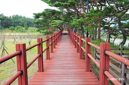 서포리웰빙삼림욕산책로