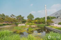 국립중앙박물관 전통염료식물원