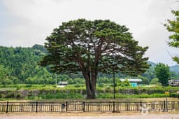 함양 목현리 구송