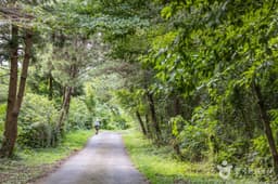 [제주올레 14-1코스] 저지-서광 올레