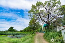 화성가시리마을