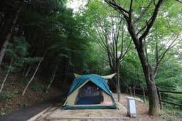 가야산국립공원 백운동 자동차야영장