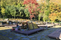 정선군생태체험학습장야영장