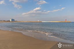 [강원평화누리길 18코스] 고성 거진명태고향길