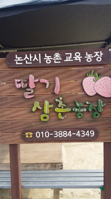 논산 딸기삼촌농장
