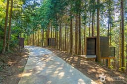 하동 편백자연휴양림