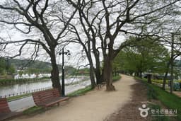 대나무 숲에서 즐기는 캠핑여행