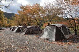 그린하우스캠핑장