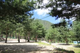 덕풍계곡캠핑장