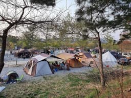 내츄럴리조트 애견캠핑장