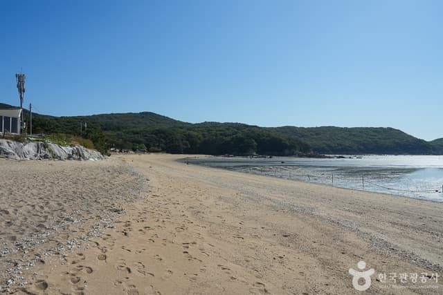 Image 8
