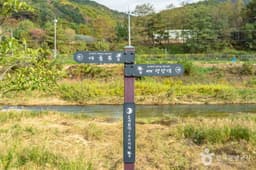 [효석문학100리길 2코스] 대화장터 가는 길