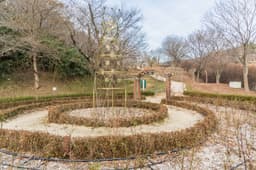 도음산 산림문화수련장