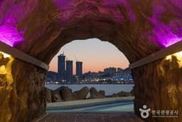 울산의 초록빛과 부산의 푸른빛에 둘려쌓여 자유를 만끽하다!