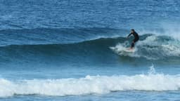 롱비치 서프스쿨