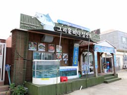 그리운바다성산포