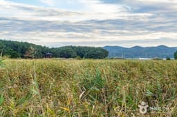 평해사구습지 생태공원