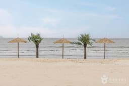 짱뚱어해수욕장