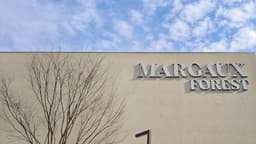 카페 마고포레스트