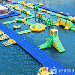 캠프통포레스트