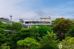 [DMZ 평화의 길] 임진각-도라산 코스