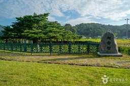 예천 천향리 석송령