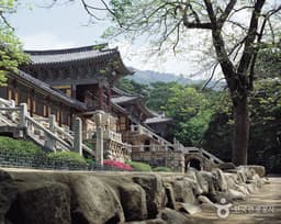 신라의 달밤을 걷는 길, 경주의 백미