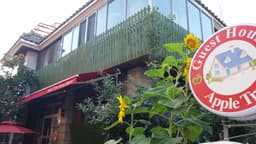 애플트리(Apple tree)(애플트리게스트하우스)